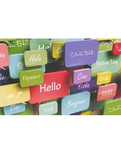 Технологии изучения иностранных языков (Ягодкин)