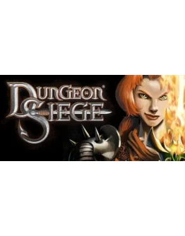 Dungeon Siege 1 (Steam Ключ / РФ + Global) 0