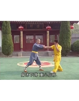 Видеофильм Шаолиньское Циньна-искусство захватов Видеофильм Шаолиньское Циньна-искусство захватов