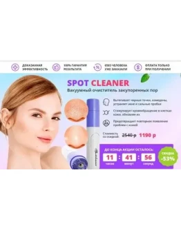 spotcleaner-low3