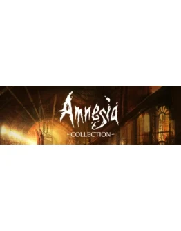 Amnesia Collection Steam Key Ключ Region Free