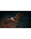 Far Cry Primal Apex Edition XBOX ONE/Xbox Series XS