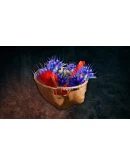 Far Cry Primal Apex Edition XBOX ONE/Xbox Series XS