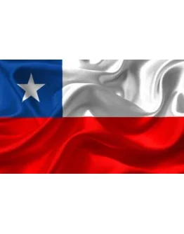 Промокод (купон) Google Ads на 350 . ЧИЛИ