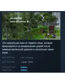Little Adventurer III STEAM KEY REGION FREE GLOBAL