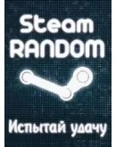 Платиновый случайный Steam ключ
