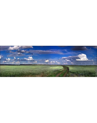 4124 Панорама фото природы с полем, фотобанк природы