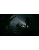 Outlast 2 (Steam Ключ / Россия + Global) + Бонус