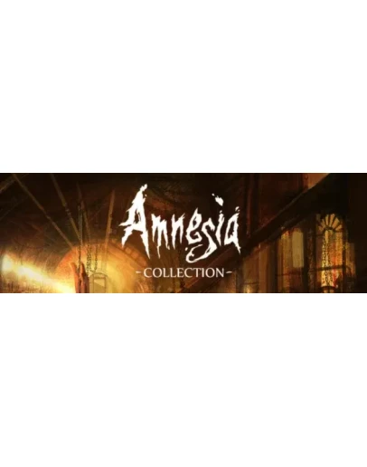 Amnesia Collection (Steam Key/Region Free)