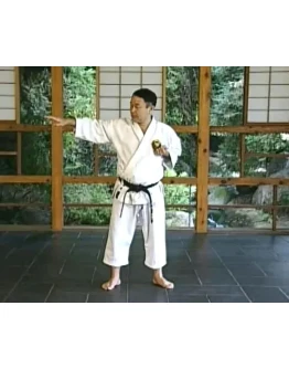 Видеофильм Мацубаяси-Каратэ