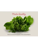 Delicious Scenes Mockup Templates Delicious Scenes Mockup Templates