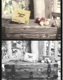 Organic Food Photo Mockup / Vegetables Vol.2