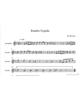 Eric bouvelle- Rumba Tequila (accordion)