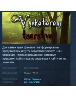 V nekotorom tsarstve STEAM KEY REGION GLOBAL+РОССИЯ