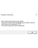 WINDOWS 11/10 PRO/HomeOriginalRetail/OEM Чек ФЗ
