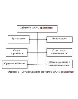 Практика по получению первичных профессиональных умений