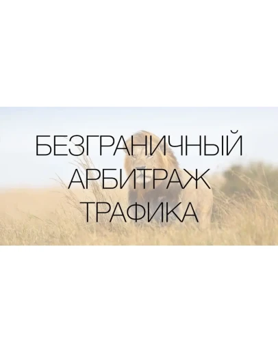15 шагов к прибыльному арбитражу трафика 15 шагов к прибыльному арбитражу трафика