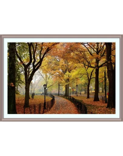 Фотография Осень в городе