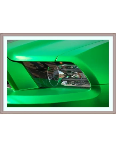 Фотография Зеленый Мустанг