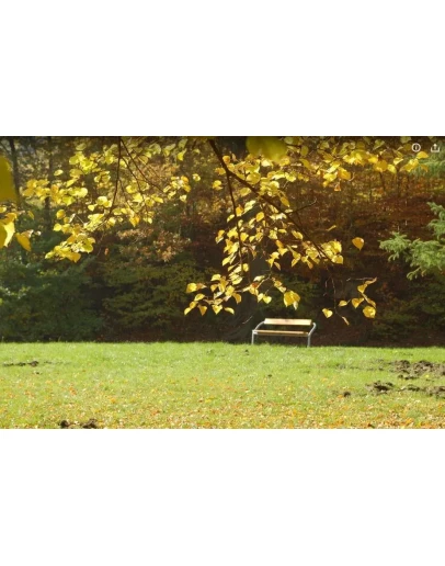 Фотография Осень в городе