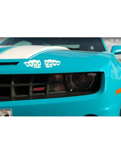 Фотография Muscle саг