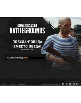 тельняшка pubg mail.ru(steam код)