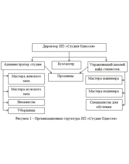 Преддипломная практика по экономике в ИП Студия Одиссе