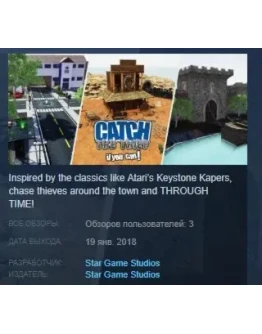 Catch the Thief, If you can! STEAM KEY REGION FREE