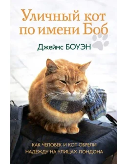 Уличный кот по имени Боб