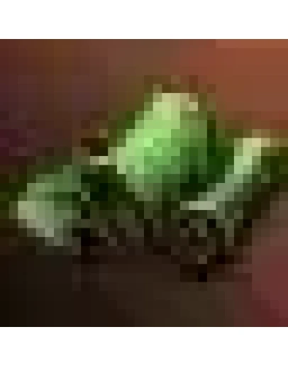 Cloth Piece