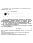 Безопасность технологических процессов в добыче нефти
