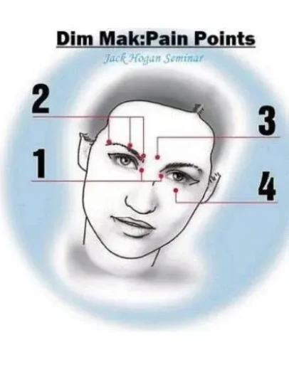 Видеофильм Болевые точки - семинар Джека Хогана