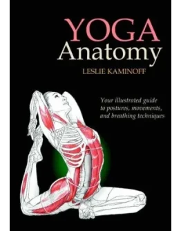 Анатомия йоги