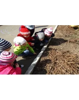 Производственная практика (педагогическая практика) в К