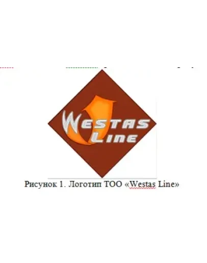 Отчет по производственной практике по маркетингу в ТОО