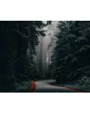 Пресет для LightRoom от FREEMAX for mobile