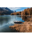 Пресет для LightRoom от FREEMAX for mobile