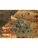 Perimeter: Emperor's TestamentSTEAM КЛЮЧ РФ+МИР