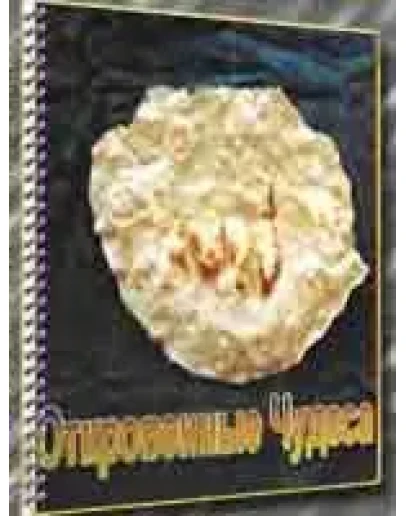 Откровенные Чудеса