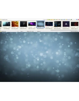 FastStone Image Viewer (Лицензионный ключ) + бонус