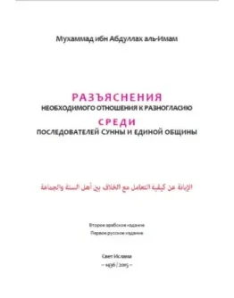 Разъяснения необходимого отношения к разногласию.