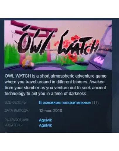 Owl Watch STEAM KEY REGION FREE GLOBAL