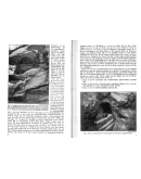 Немецкие тетради Аненербе - архив 1933-1944 годов Немецкие тетради Аненербе - архив 1933-1944 годов