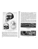 Немецкие тетради Аненербе - архив 1933-1944 годов Немецкие тетради Аненербе - архив 1933-1944 годов