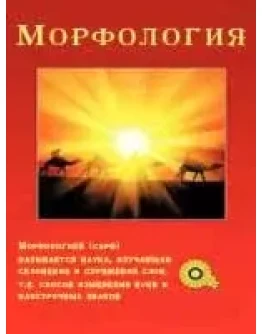 Морфология