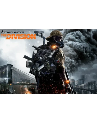 The Division account