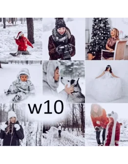 Набор зимних пресетов для Mobile Lightroom Набор зимних пресетов для Mobile Lightroom