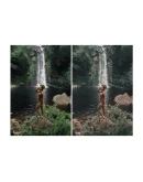 Осенние Lightroom Presets