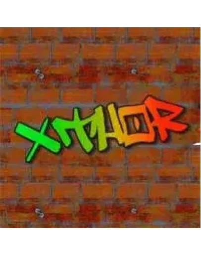 Аккаунт Xthor.tk