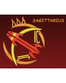 Знак зодиака Стрелец. Дизайн машинной вышивки 2 размера